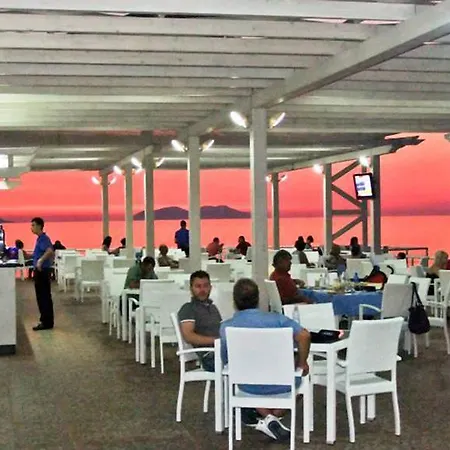Paradise 4*