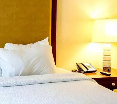 Paradise Радима